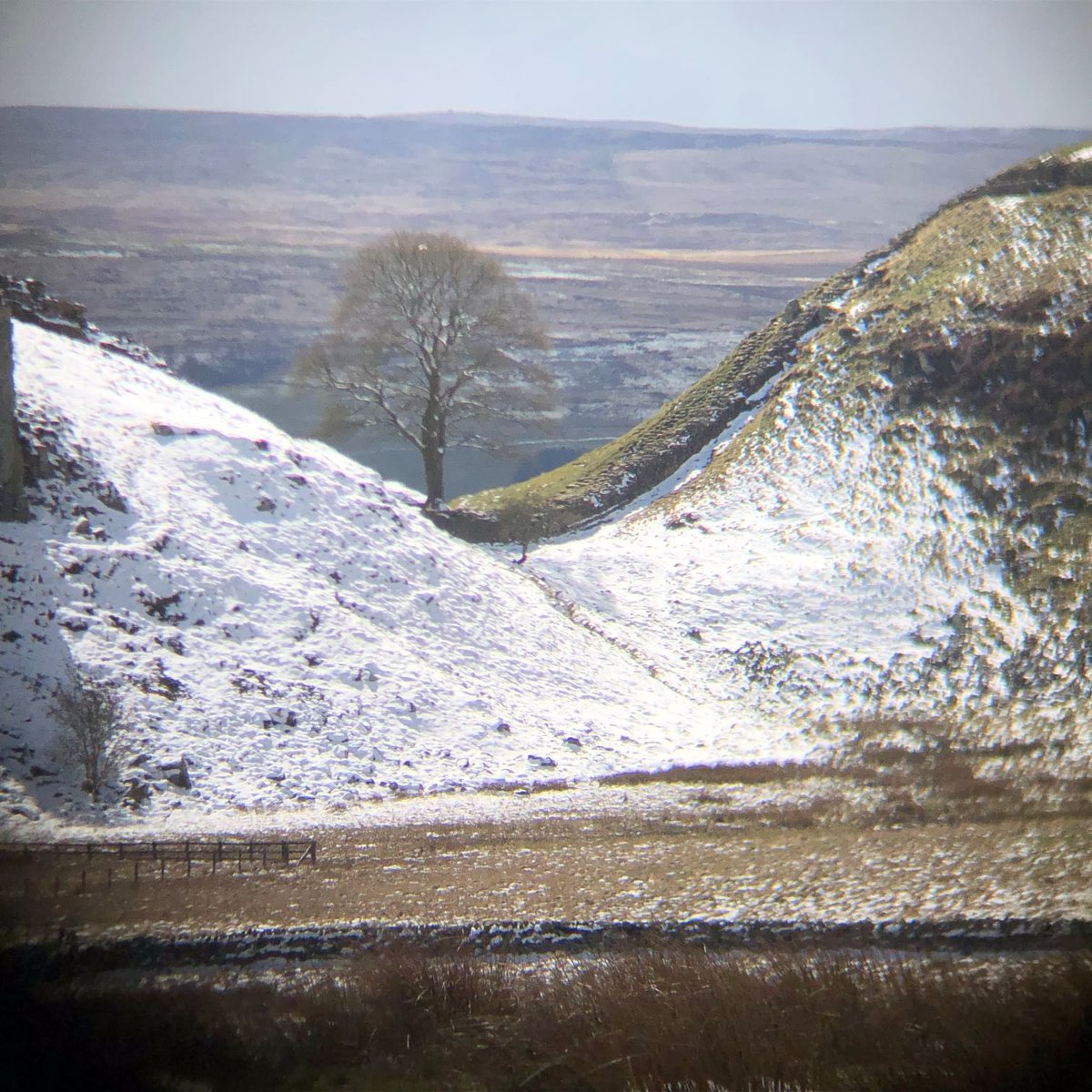 andy_j_lamb's tweet photo. @daemonsmatt My home county, Northumberland.
The tree might be familiar to some, it’s featured prominently in Robin Hood, Prince of Thieves movie, but is sadly no more (an idiot took a chainsaw to it 😢)
The wall is Hadrian’s wall, the inspiration for the Wall in GoT, making me a wildling! 😂 https://t.co/fETXTDEOJO