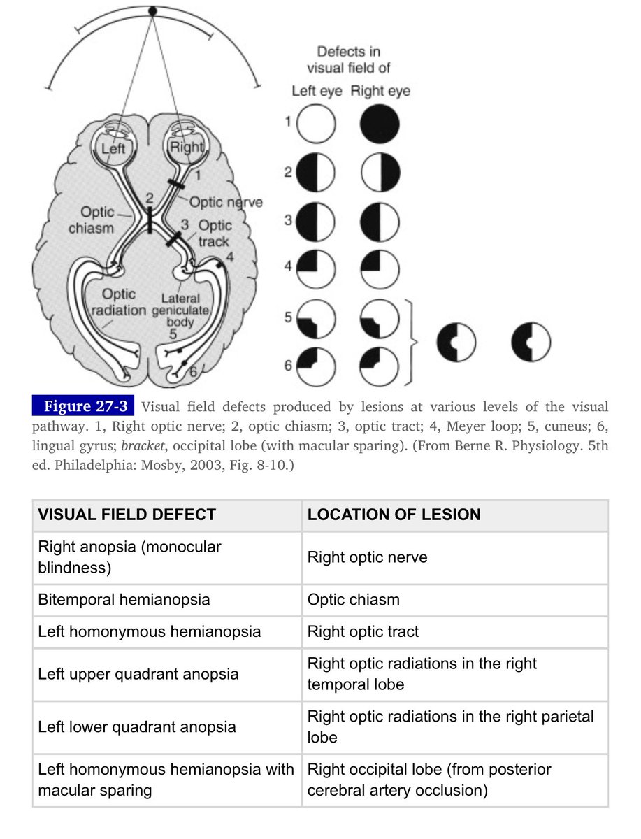 nothing04040's tweet image. مستحيل تخلص كلية الطب بدون يجيك سؤال عنها .