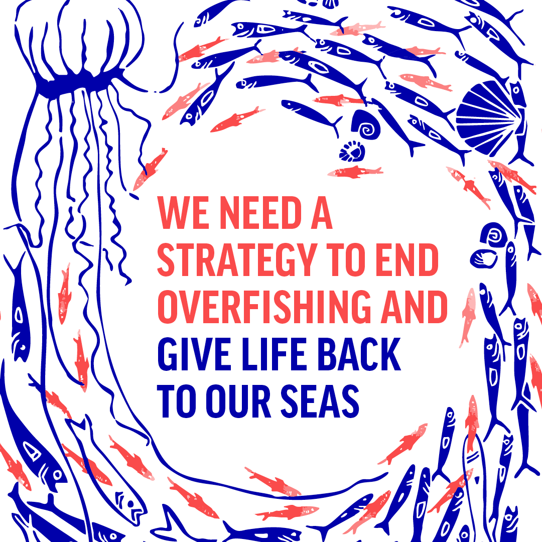 OceanaUK's tweet photo. The solution? A radical roadmap for recovery. ✊
Our new report lays out a clear, science-based plan to #EndOverfishing and revive our seas. It’s time for the government to listen, act, and ensure a sustainable future for our ocean.
READ👉https://t.co/Cp6TyeE3m6 7/7 #SaveOurSeas