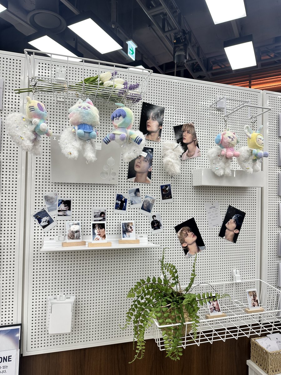 dahlteez's tweet photo. I was finally able to visit the pop up today!! 

#투모로우바이투게더 #TOMORROW_X_TOGETHER #TXT #The_Star_Chapter #SANCTUARY #The_Star_Chapter_SANICTUARY_POPUP #사운드웨이브 https://t.co/O5Rpyo66Bn