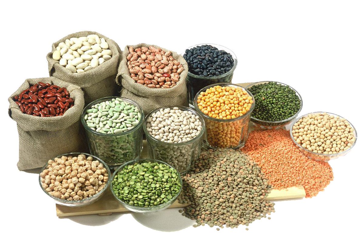AgerEmpresa's tweet photo. En AGER, nos comprometemos a  ofrecerte los mejores productos de la región. Con una  amplia variedad de productos frescos y de alta calidad, garantizamos la  satisfacción de nuestros clientes y el impulso a la economía local.  
#AGER, #Sostenibilidad, #Calidad, #ComunidadLocal https://t.co/M1vMF67L3A