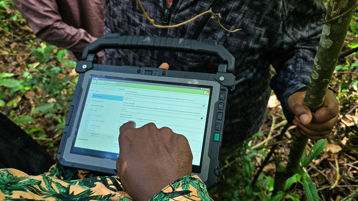 OpenForis's tweet photo. Sierra Leone’s Forest Dept takes a major step with its first National Forest Inventory training🌳Supported by #FAO &amp; #EU, 60+ experts trained for data-driven forest management #ArenaMobile
🔗Learn more https://t.co/kkyNX5j7Ga #ForestMonitoring #NFI @FAOforestry @FAOSierraLeone https://t.co/HMEGqhGNLz