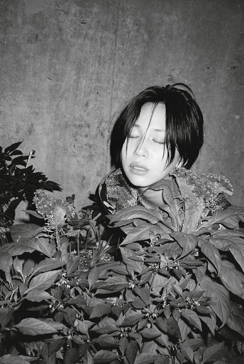 Fisheyelemag's tweet image. La poésie inspire, de près ou de loin, votre pratique photographique ? La revue Mouche a lancé l’appel à contributions pour son quatrième numéro : bit.ly/40FCzSt