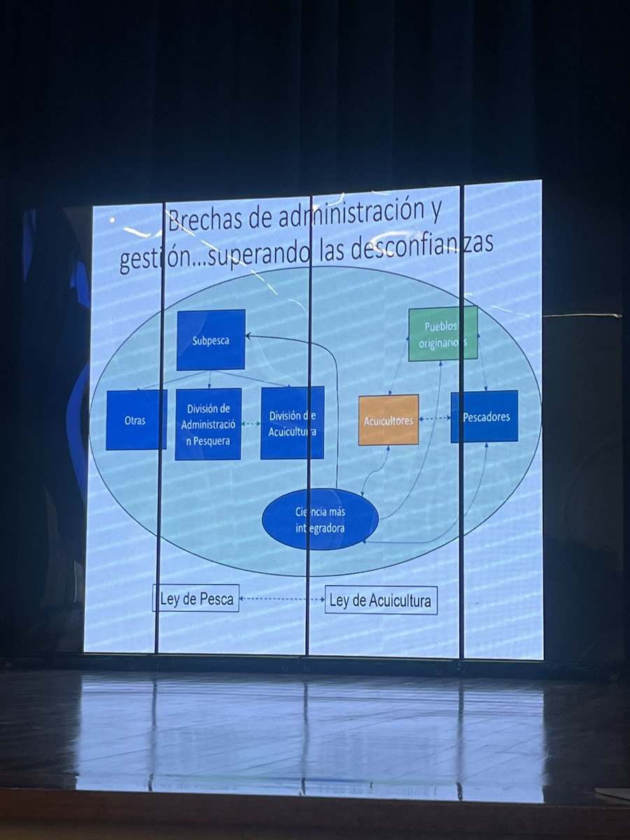 Claudia Andrade tweet media