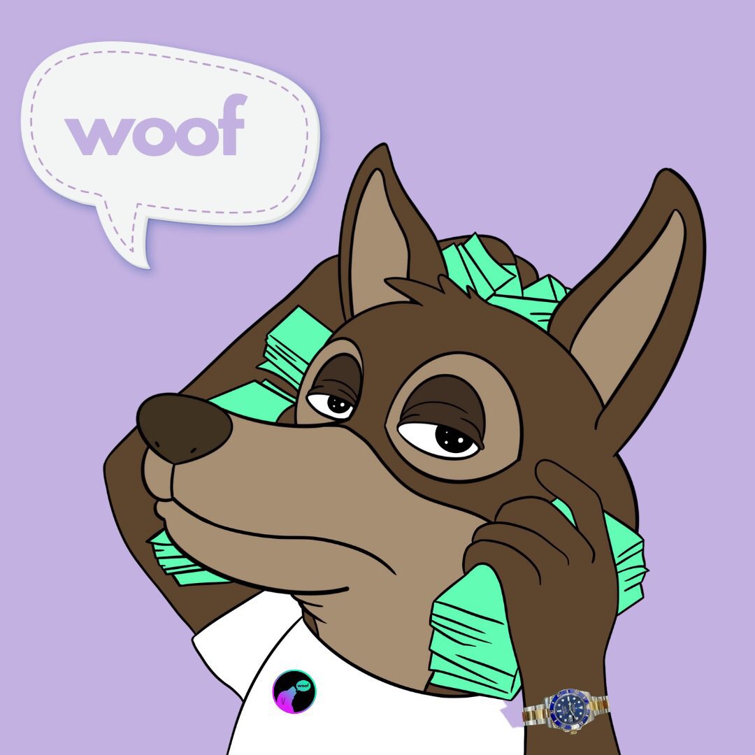 pov: you bought $woof before the nostalgia pump

Who’s also getting 2021 vibes?