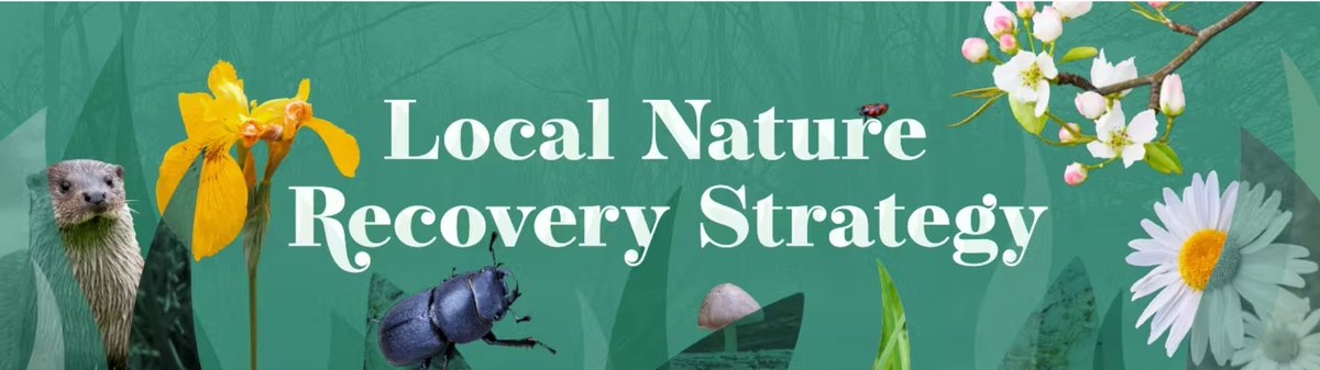 Oxfordshire's Local Nature Recovery Strategy is out for consultation. Have your say and find out more letstalk.oxfordshire.gov.uk/lnrs-phase3-co…