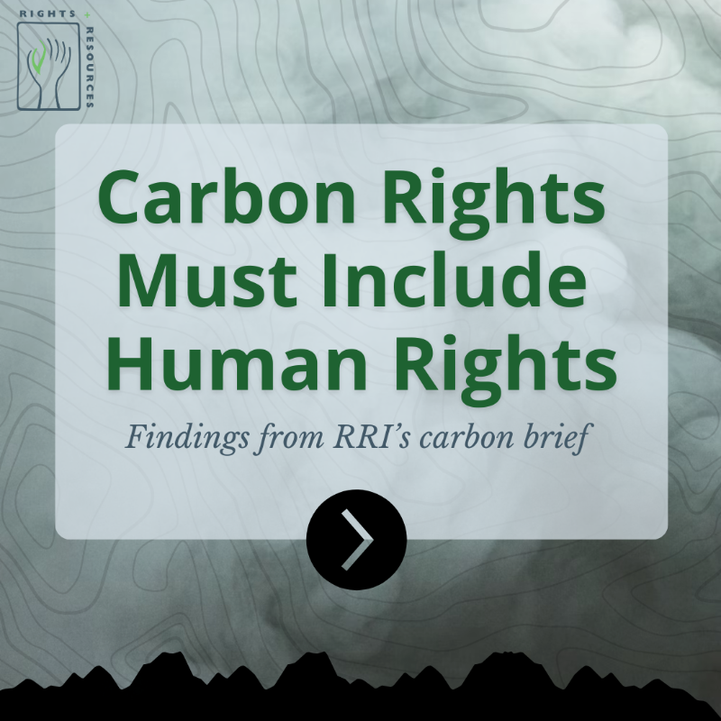 RightsResources's tweet photo. For our new brief, we partnered with scholars at @mcgillu to analyze the #carbonrights held by Indigenous Peoples, local communities, + Afro-descendant Peoples in 33 countries, and the findings are serious. Discover what we learned: https://t.co/VeJrr19qhW