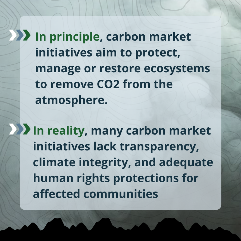 RightsResources's tweet photo. For our new brief, we partnered with scholars at @mcgillu to analyze the #carbonrights held by Indigenous Peoples, local communities, + Afro-descendant Peoples in 33 countries, and the findings are serious. Discover what we learned: https://t.co/VeJrr19qhW