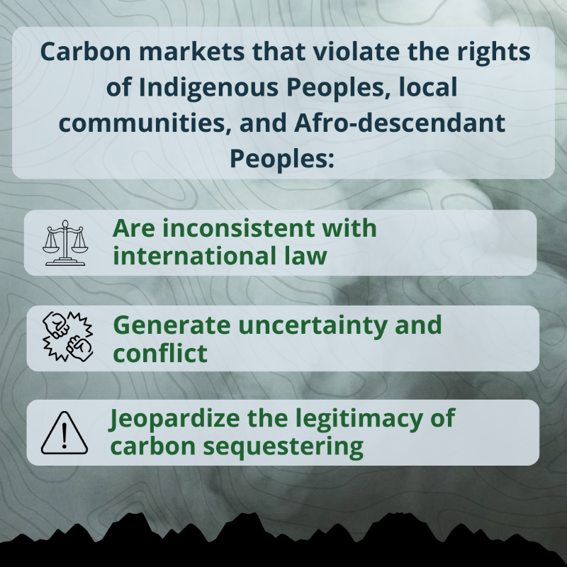 RightsResources's tweet photo. For our new brief, we partnered with scholars at @mcgillu to analyze the #carbonrights held by Indigenous Peoples, local communities, + Afro-descendant Peoples in 33 countries, and the findings are serious. Discover what we learned: https://t.co/VeJrr19qhW
