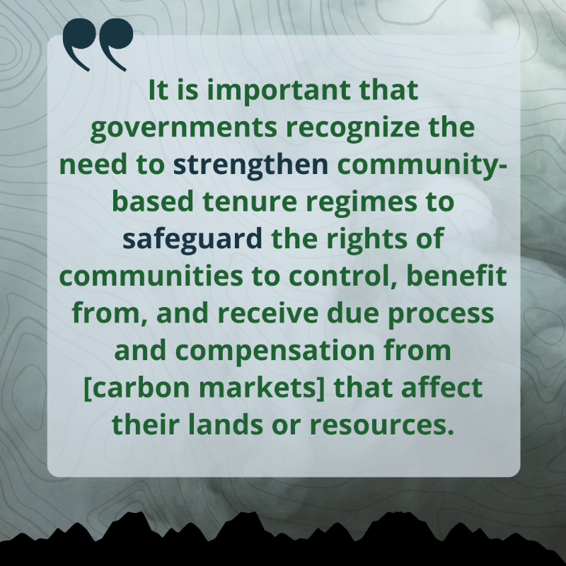 RightsResources's tweet photo. For our new brief, we partnered with scholars at @mcgillu to analyze the #carbonrights held by Indigenous Peoples, local communities, + Afro-descendant Peoples in 33 countries, and the findings are serious. Discover what we learned: https://t.co/VeJrr19qhW