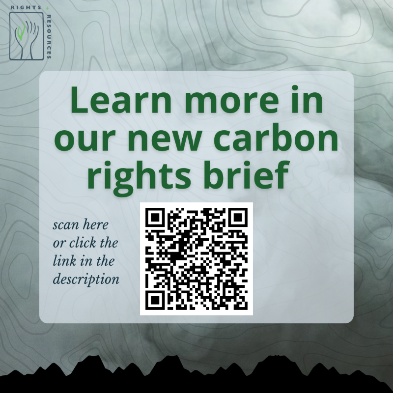 RightsResources's tweet photo. For our new brief, we partnered with scholars at @mcgillu to analyze the #carbonrights held by Indigenous Peoples, local communities, + Afro-descendant Peoples in 33 countries, and the findings are serious. Discover what we learned: https://t.co/VeJrr19qhW