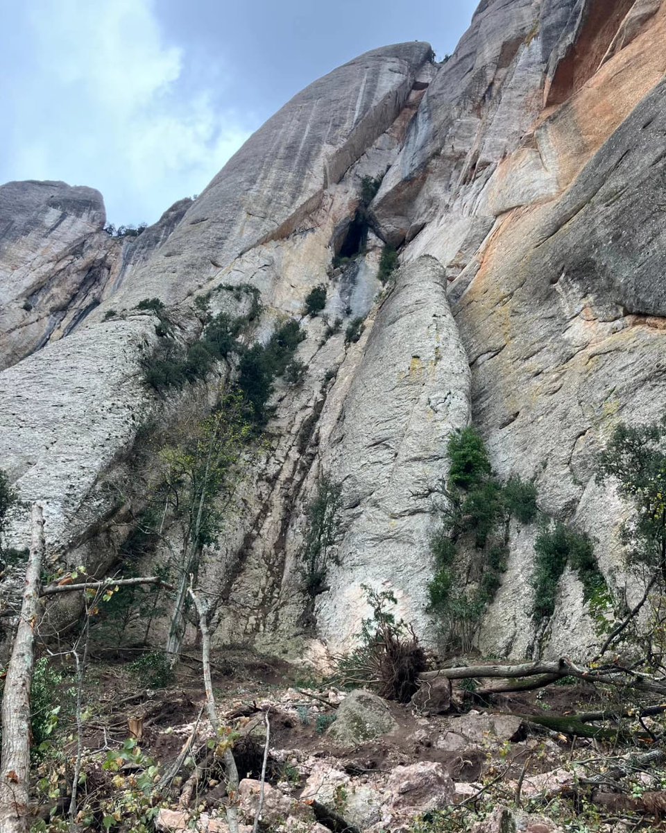 PNMontserrat's tweet photo. ⚠️Despreniment a la Paret de Diables!

No ha causat danys personals i el camí de l'Arrel (GR 172) no ha sofert desperfectes importants, però sí a la vegetació de la zona, especialment a diferents teixos (Taxus baccata) centenaris de gran interès naturalístic. https://t.co/wyWDng8ctI