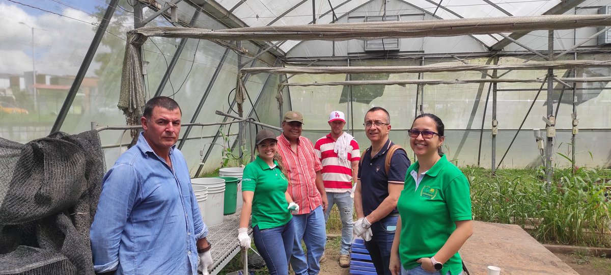 Angel Plata tweet media