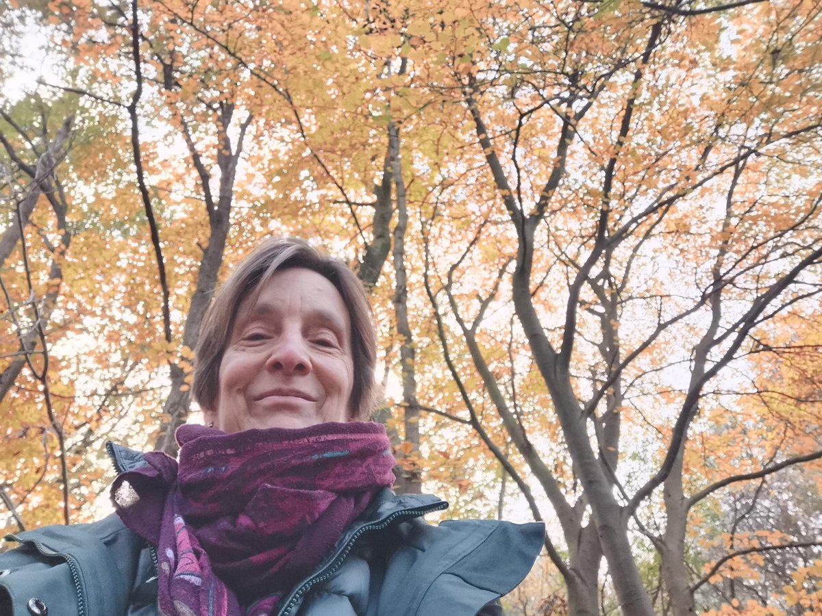 vrijezangvogel's tweet photo. Dat laatste #herfstkleur #bladeren v imposante beuken voelen als n liefdevolle arm, schouder. De grillige vormen van oude eiken laten #karakter zien dat zich vormt door #stormen heen. #weerbaar #resilience #bomen #trees en dan de #openheid& #vloeibaarheid van water:#leven #life https://t.co/A7TWiCxzaH