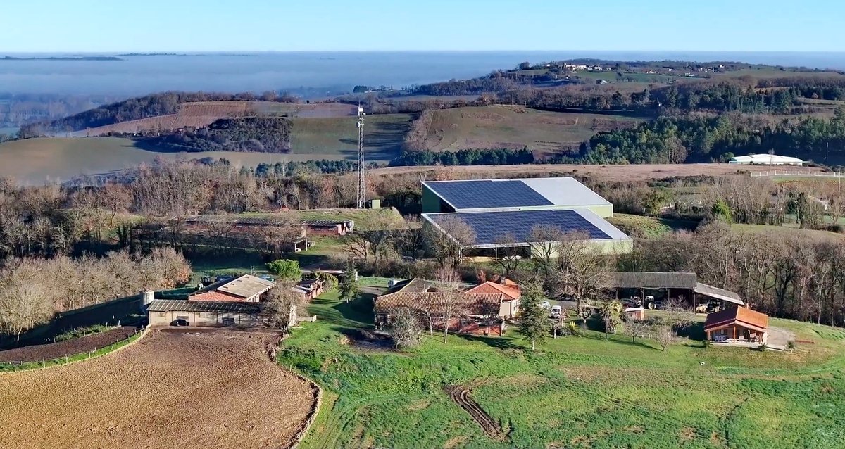 Réunion publique de CVE demain 14 novembre à 18h30 sur son projet agrivoltaïque à L'Isle-en-Dodon. Venez nous rejoindre pour signifier votre opposition à ce parc agrivoltaïque porcin 🐷 : terrescommingeoises.fr/?mailpoet_rout…

#agrivoltaïsme #photovoltaïque #biodiversité #Comminges #Occitanie