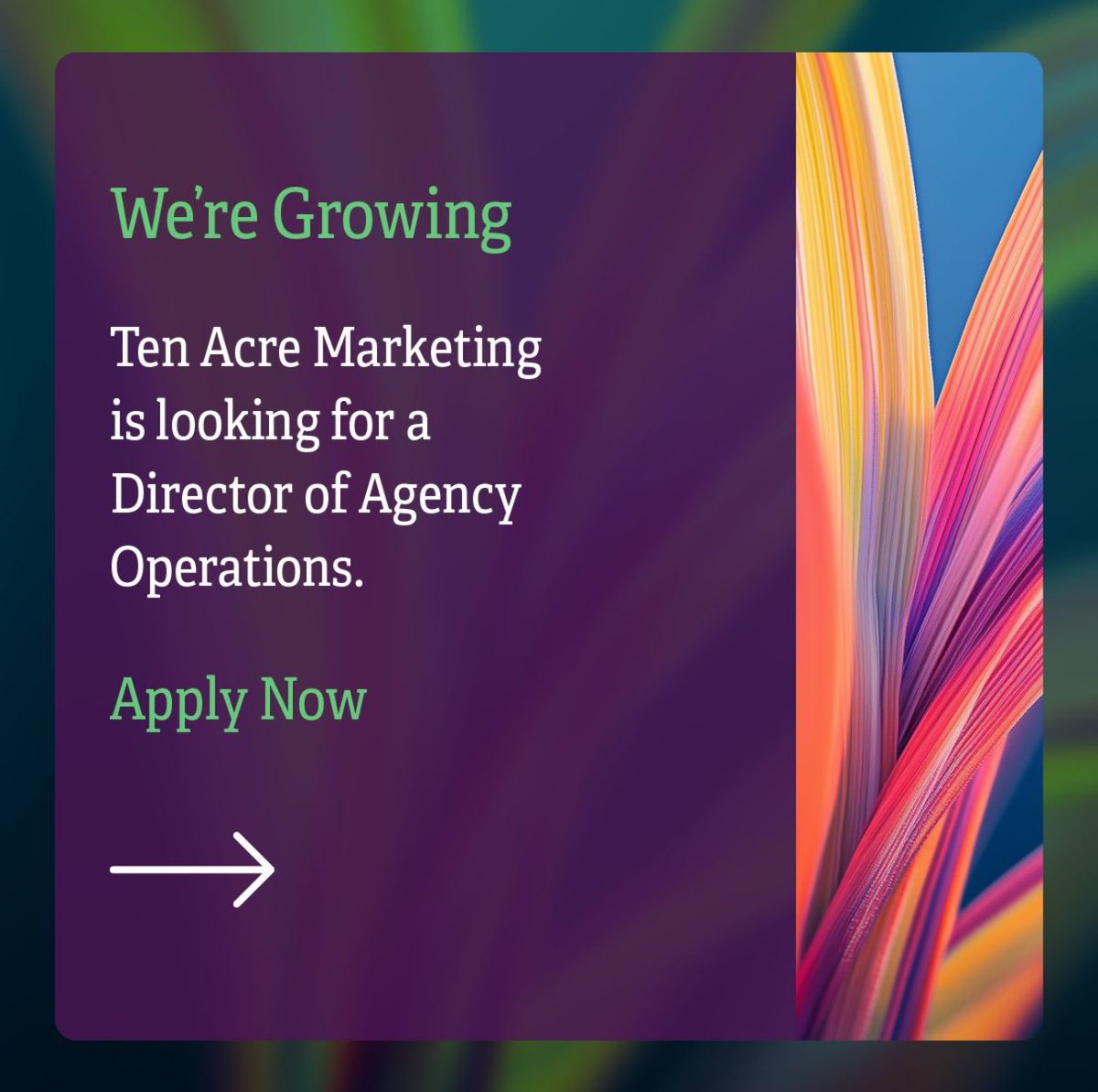 We are hiring! 
Can you help us position brands to advance agriculture by making sure our own business is running smoothly? 

tenacremarketing.com/join/