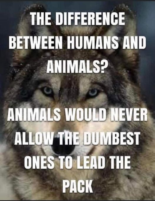 #INDIGENOUS #TAIRP