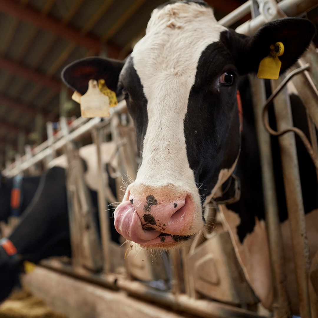 Parc de Recerca UAB tweet media