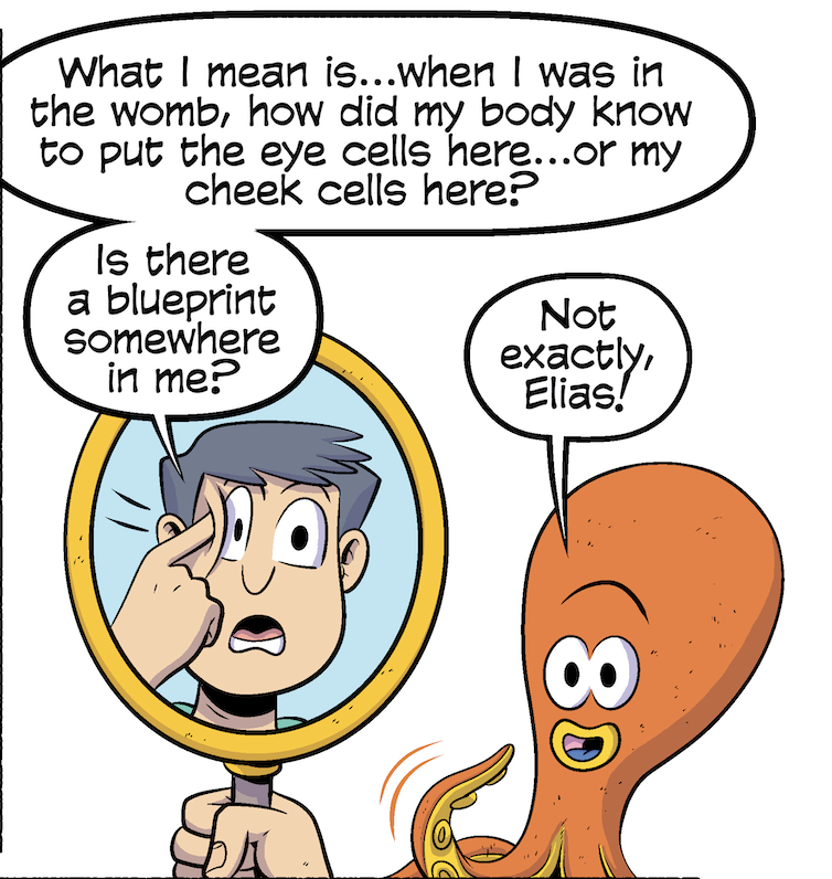 PoLDresden's tweet photo. Our cells can receive numerous cues during development, even from electric fields or currents! For  #PoLComic episode 9 we discuss the fascinating process of electrotaxis and how it helps form tissues. Check out the full version and previous comics at https://t.co/ZeXxe8uoXv 1/3 https://t.co/Lu2sWC5a2D