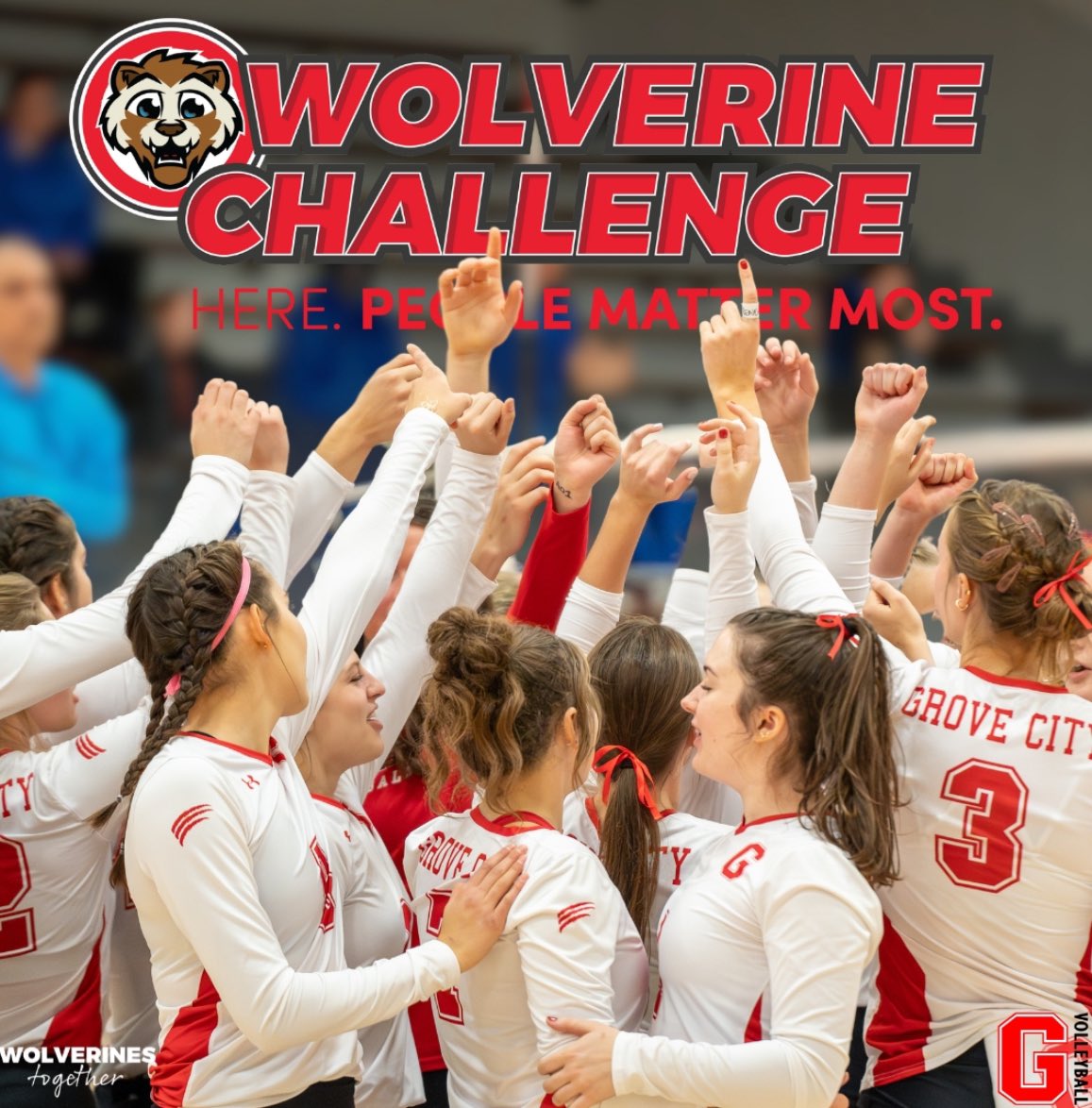 Today is Grove City College’s Annual Day of Giving! Support women's volleyball in the Wolverine Challenge by donating at the link below. Choose the women's volleyball fund as your gift designation and your gift will directly support our team. securelb.imodules.com/s/1472/g20/for…