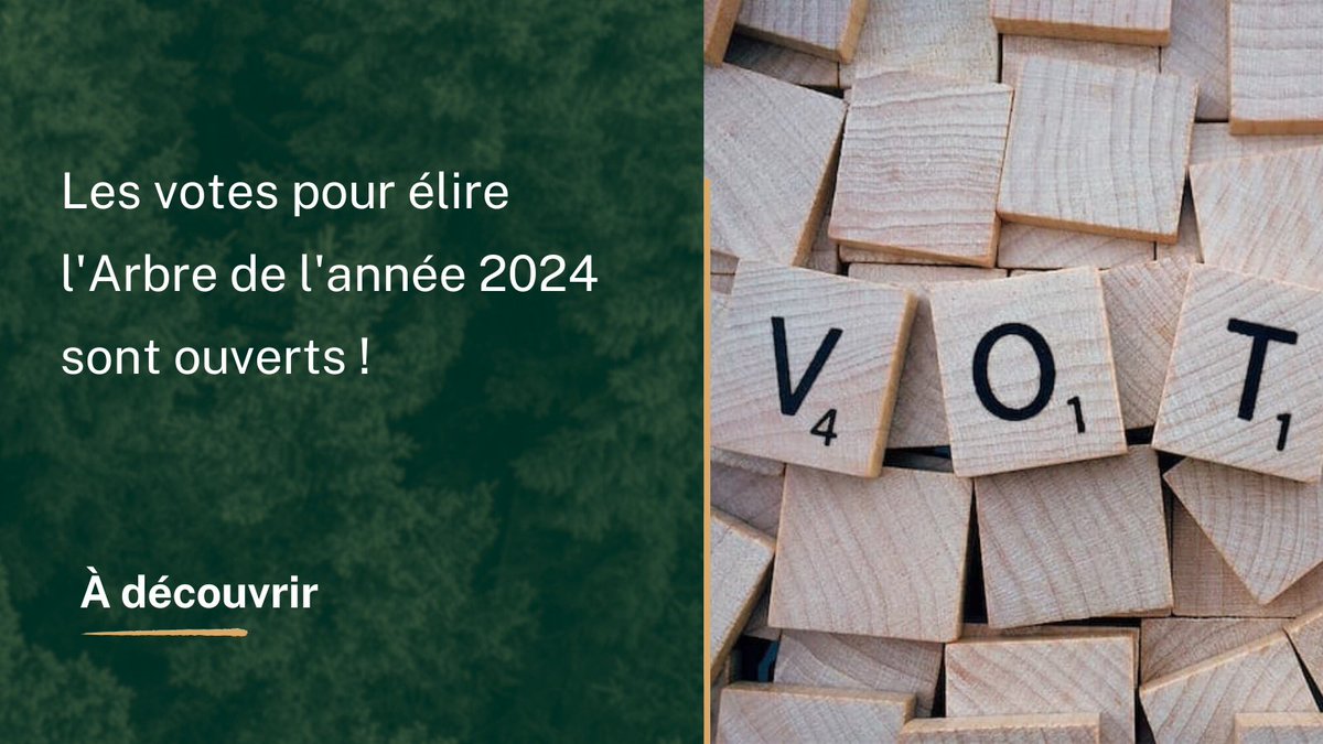 MeilleurGF's tweet photo. Les votes pour élire l'Arbre de l'Année 2024 sont ouverts ! 🌳 C'est l'occasion de découvrir et soutenir l'arbre qui représente au mieux notre patrimoine naturel. Participez et faites entendre votre voix pour célébrer la beauté de la nature. ➡️ https://t.co/tlKBdvULJa https://t.co/0cDFXywHwS