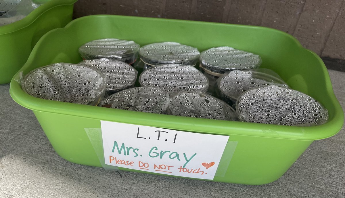 Mrs. Gray’s Long Term Investigation <a href="/HCPSLopezElem/">Lopez Elementary</a> 
What do you notice? What do you wonder? <a href="/WeAreHAEST/">HAEST</a> <a href="/HCPS_STEM/">@HCPS_STEM</a>