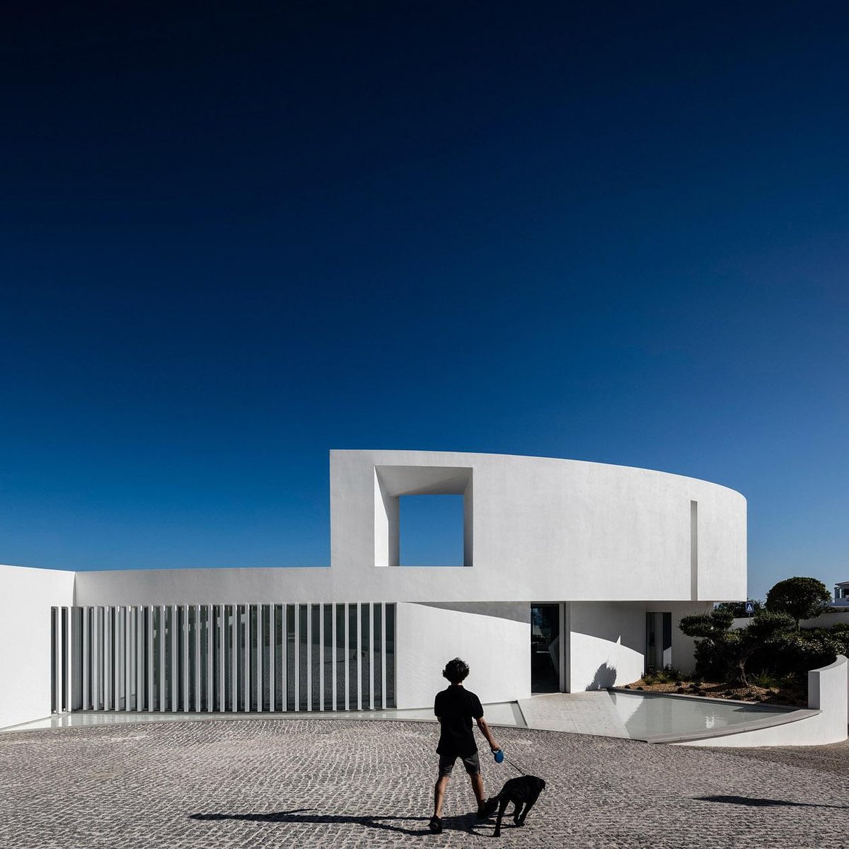 espacioyconfort's tweet photo. Casa Elíptica nace de una idea. Nace de una forma geométrica y de un volumen esculpido por el paisaje. Busca un equilibrio entre el lleno y el vacío, el peso y la ligereza, la luz y la sombra, o el objeto y su imagen.
#DiseñoEscultórico #ArquitecturaPortuguesa https://t.co/qyZwI2ytBA