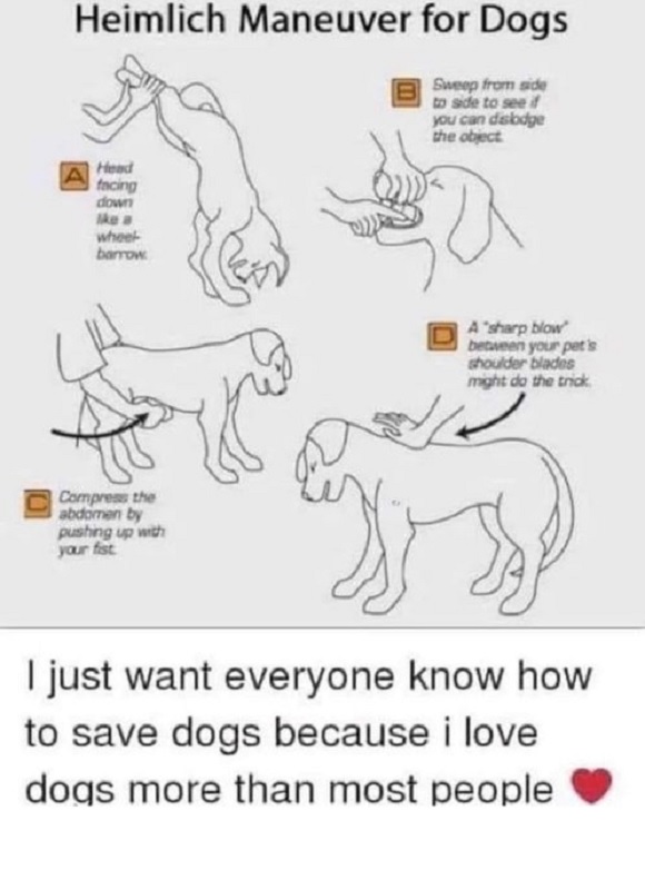 Some important info worth sharing