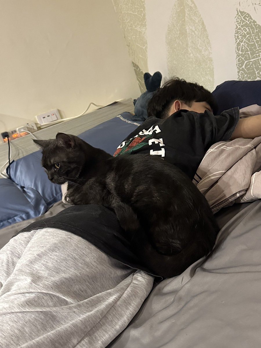 墨軒🫧 tweet media