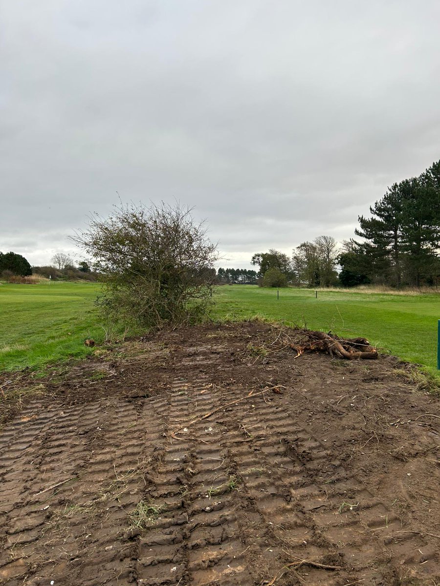 CaldygcGreens's tweet photo. Path widening around the 9th tee continues, with stump removal, and the pathway from the 1st to the 2nd is nearly ready for turf. #CountyTurf due in the morning. We will also replace all turf stripped off the drainage lines with #BarOlympic. https://t.co/ZxjgnRabfl