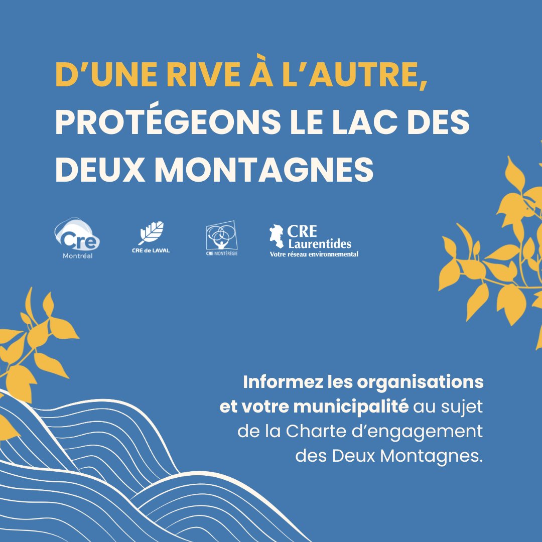 🎯 6 aboutissements concrets qui pourraient voir le jour grâce aux engagements des signataires de la Charte d'engagement du le lac des Deux Montagnes

 👇  Contribuez à la réalisation de ces aboutissements :  cremtl.org/fr/demarche-co…