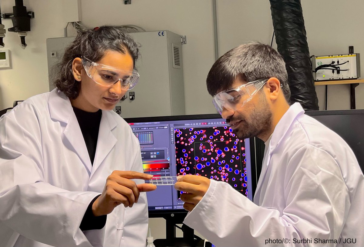 Mainz University (@uni_mainz_eng) on Twitter photo 𧬠New model system for developing potential active substances to combat #Alzheimers & #Parkinsons: Researchers at #MainzUniversity & <a href="/UniLeiden/">Universiteit Leiden</a> have developed a system that can break down protein #fibrils into individual components press.uni-mainz.de/new-model-syst⦠#medicine #research 𧬠New model system for developing potential active substances to combat #Alzheimers & #Parkinsons: Researchers at #MainzUniversity & <a href="/UniLeiden/">Universiteit Leiden</a> have developed a system that can break down protein #fibrils into individual components press.uni-mainz.de/new-model-syst⦠#medicine #research