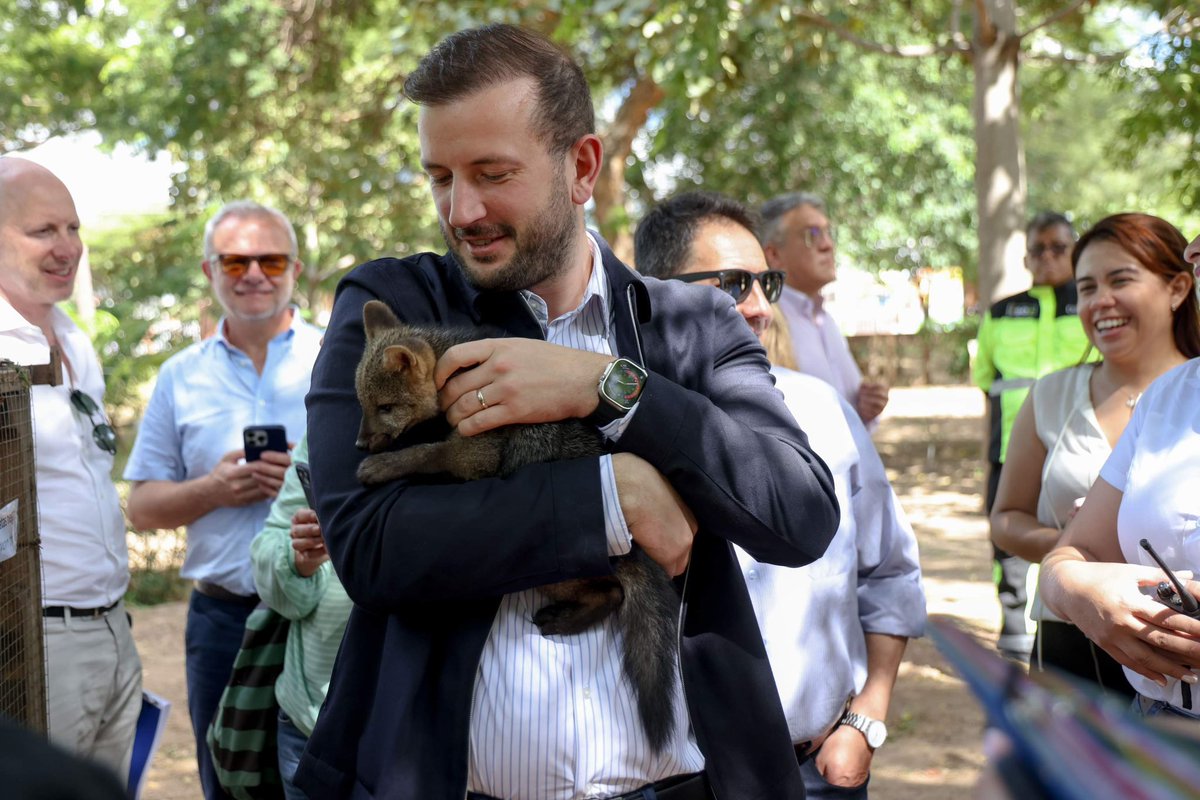 As Commissioner, I saw how #deforestation devastates land &amp; entire communities. I witnessed its impact on animals amid constant forest destruction.

Now, the EPP, with support from far-right parties, is trying to weaken the #EUDR. 

This is a huge step backward for our planet.