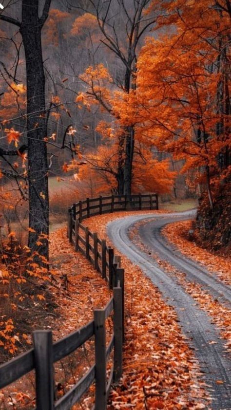 bellalilli161's tweet photo. #Autumn https://t.co/zi38wdEUZ4
