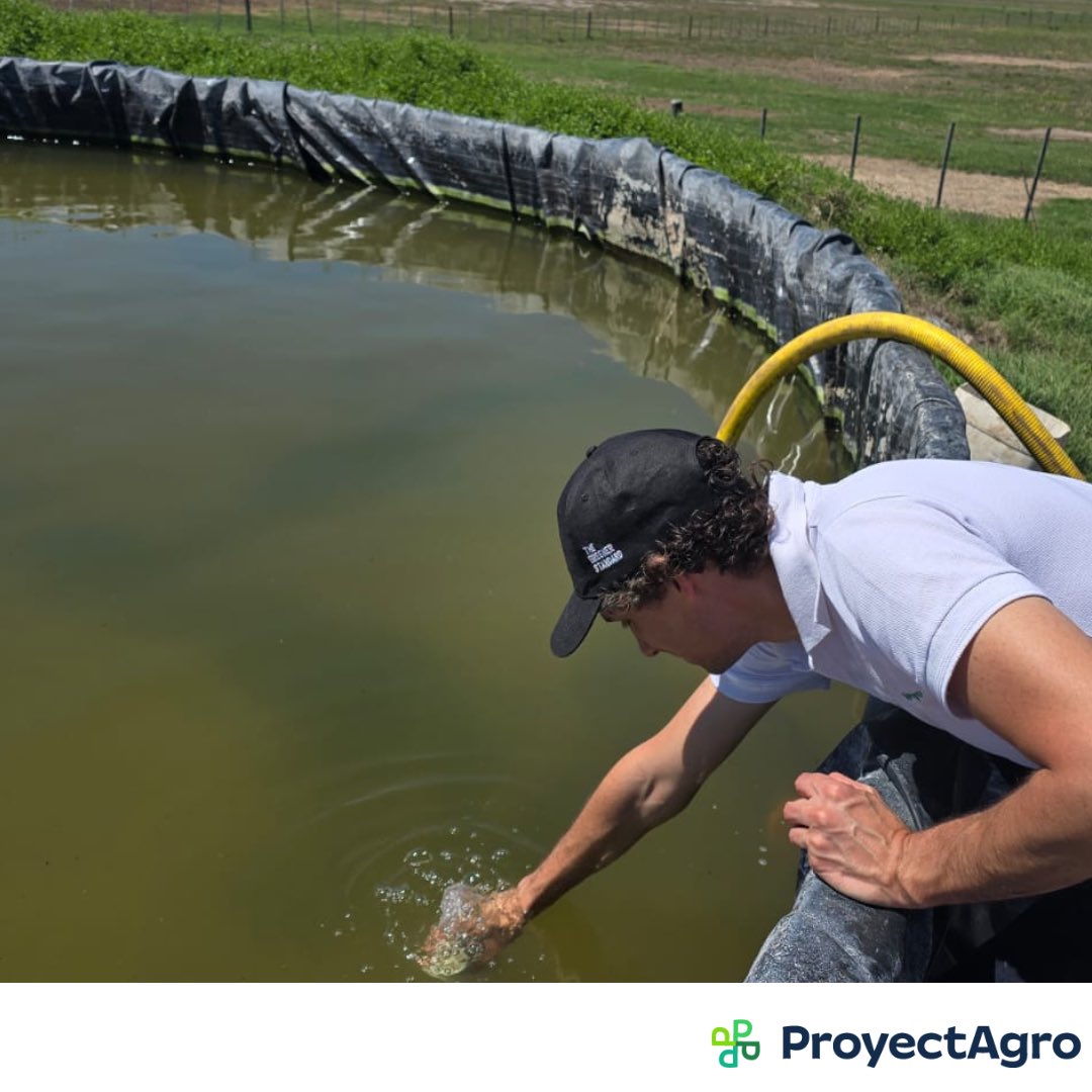 ProyectAgro tweet media