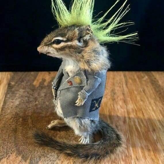 #NouvellePhotoDeProfil