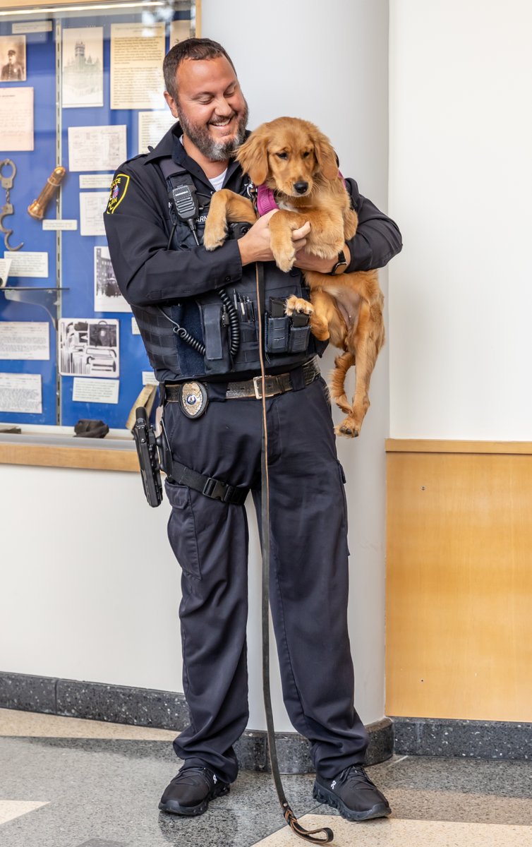 Elgin IL Police Dept tweet media