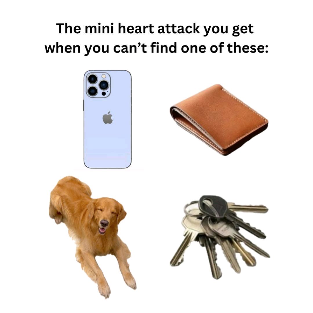 GoldretrieverUS's tweet photo. Which one worries you the most when you can't find it?

A B
C  D

Me?  C- keeps my heart happy. 
Other stuff- meh, Replaceable 

You? 👇👇

#dogsofx #goldensofx
(ĞGoldenbiscuit.tx ) https://t.co/hdZhpheBrI