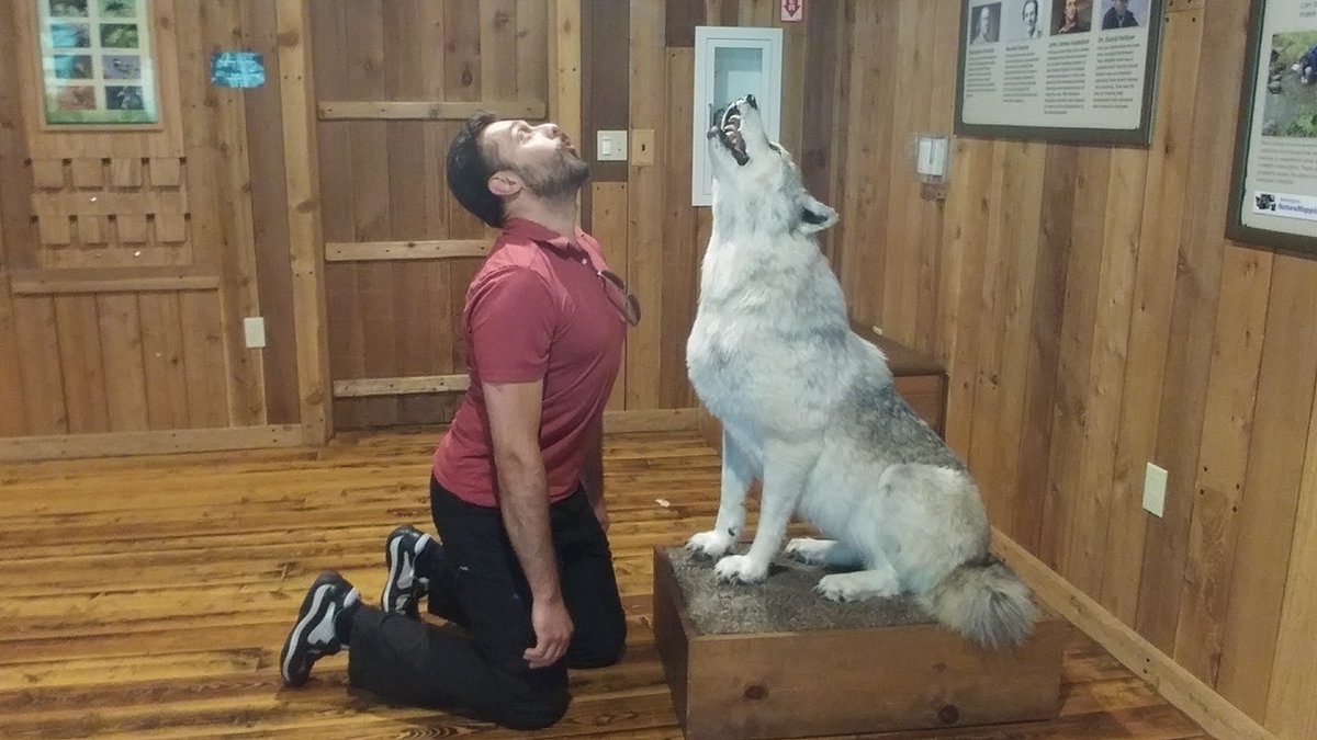 CryptoMonkADA's tweet image. #Cardano on #wolfmode, so am I!
LFGOooooooooooooooooooooo!!!