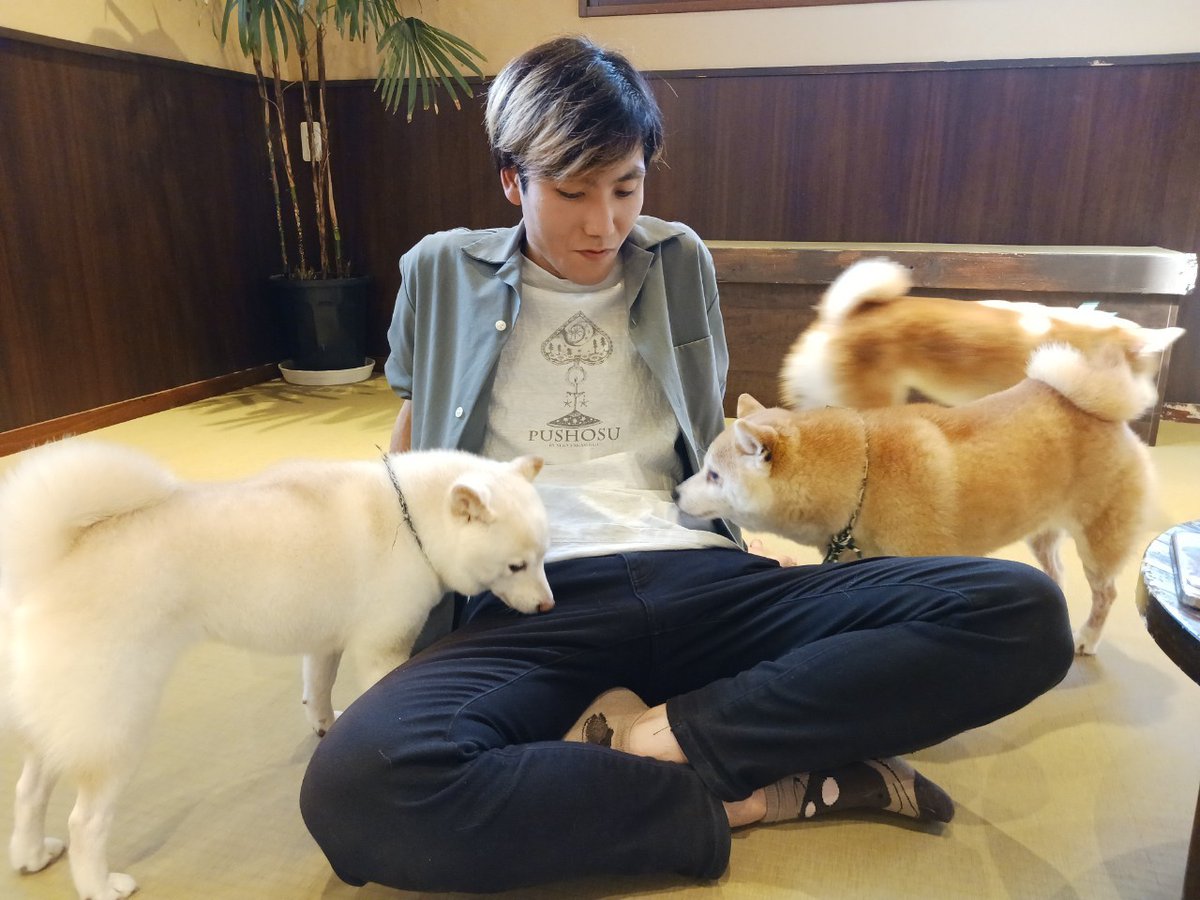 ahiru0013's tweet photo. 大分旅行
うみたまごと湯布院フローラルビレッジ https://t.co/ClbC5YgI7x