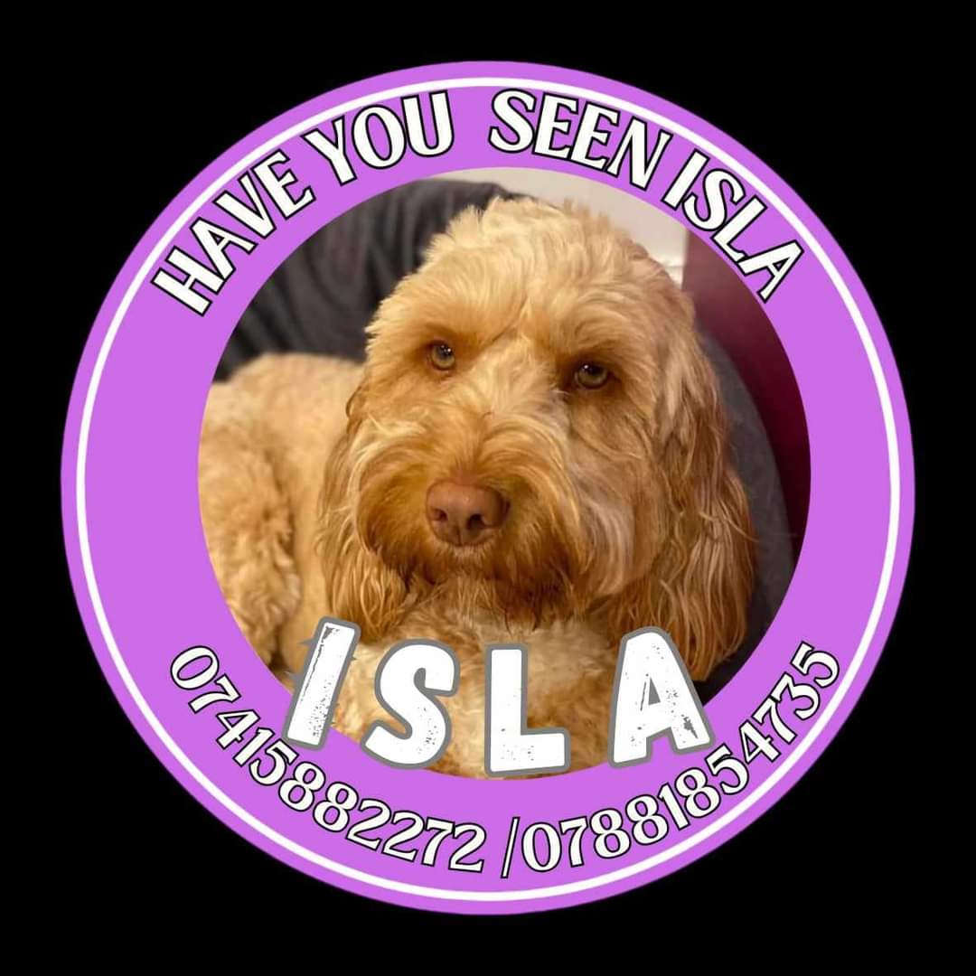 MissingPetsGB's tweet photo. Isla update

SHARE EXTENSIVELY

There have been numerous intensive ground searches for Isla, Drones, cameras,  thousands of posters put up, all leads have been &amp; are currently being followed up, but sadly Isla  is still missing. 

Please be vigilant
#UK #DURRISMAST #ABERDEENSHIRE https://t.co/CS55HVsnwQ