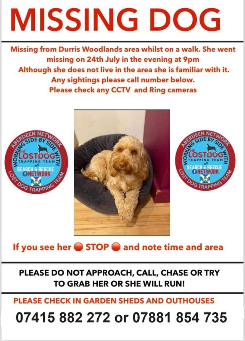 MissingPetsGB's tweet photo. Isla update

SHARE EXTENSIVELY

There have been numerous intensive ground searches for Isla, Drones, cameras,  thousands of posters put up, all leads have been &amp; are currently being followed up, but sadly Isla  is still missing. 

Please be vigilant
#UK #DURRISMAST #ABERDEENSHIRE https://t.co/CS55HVsnwQ
