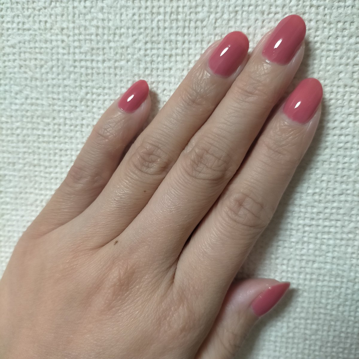 hachi_nail's tweet photo. #コスメデコルテ  ネイルエナメル PK844

4日目で諸々アラが出てるので色味だけのご参考に 

バラとかチューリップの花弁のような、ほんのり透け感のあるちゅるりんピンク
派手めに見えるけど、若っ干イエロー(というかサーモン？)入ってるような色で思いの外肌色から浮かない気がします https://t.co/ydKcwPphl0