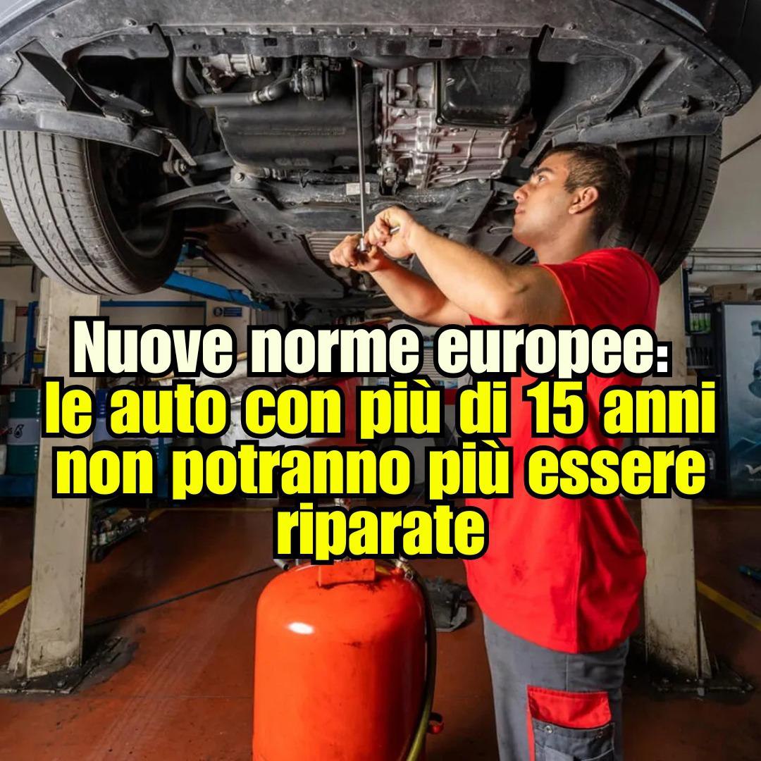 Cristina Wonder tweet media