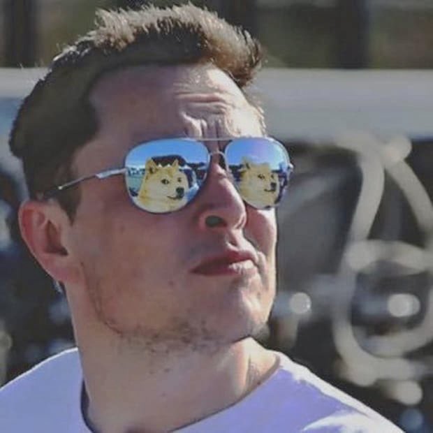 DogeDesigner tweet media