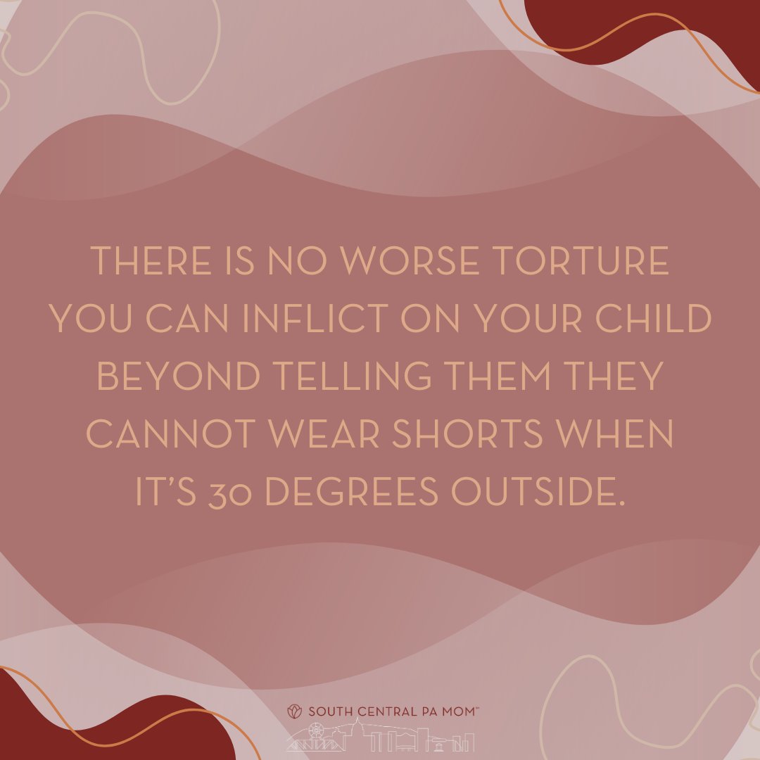 South Central PA Mom tweet media