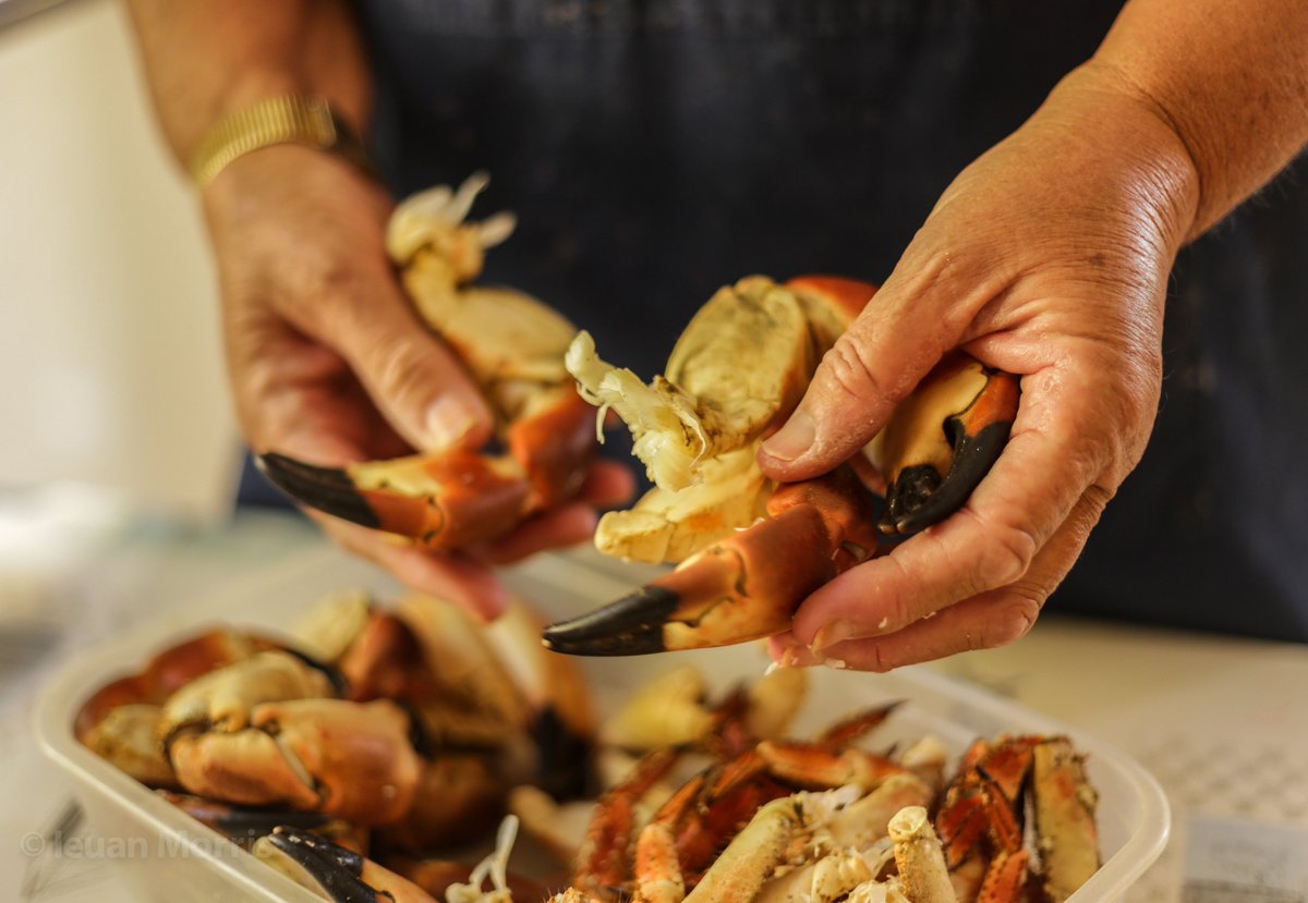 Flash back 5 years!! 🦀🦞🦐
Just a reminder that winter opening hours are 9 am to 1 pm on Tuesday, Wednesday, Friday and Saturday .....
📷 Ianto Môr Photography
To order ☎️ 01437 721571 to find availability. Collect by 12 noon. You can always drop in to see what's on offer!