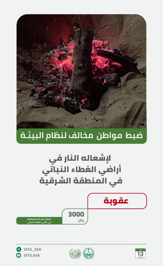 الصورة