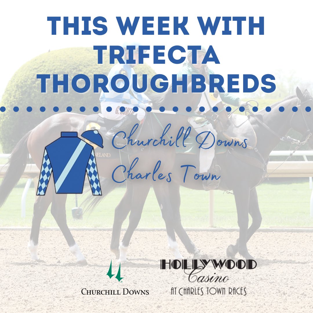 Trifecta_Thoros's tweet photo. Racing TODAY &amp; TOMORROW! 🐎 
Catch the Trifecta Thoroughbreds in action at Churchill Downs and Charles Town. It’s going to be a fun two days of racing! 

#trifectathoroughbreds #princessofomaha #baytownbeatle #baytownboujee #mcenteeracinginc https://t.co/U1sGtlmwTG