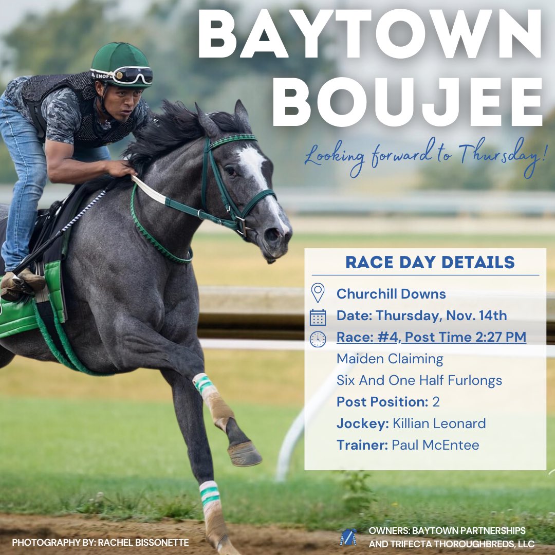 Trifecta_Thoros's tweet photo. Racing TODAY &amp; TOMORROW! 🐎 
Catch the Trifecta Thoroughbreds in action at Churchill Downs and Charles Town. It’s going to be a fun two days of racing! 

#trifectathoroughbreds #princessofomaha #baytownbeatle #baytownboujee #mcenteeracinginc https://t.co/U1sGtlmwTG